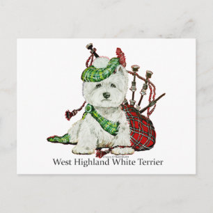 Cartão Postal West Highland Terrier