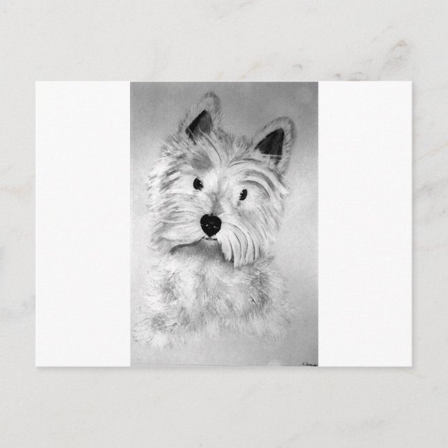 Cartão Postal West Highland White Terrier (Frente)