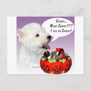Cartão Postal West Highland White Terrier Halloween Candy