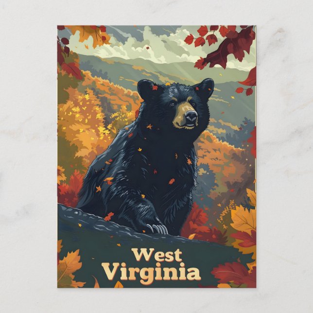 Cartão Postal West Virginia Black Bear (Frente)
