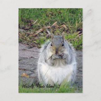 Cartão Postal Westerly, Cartão-postal Rhode Island
