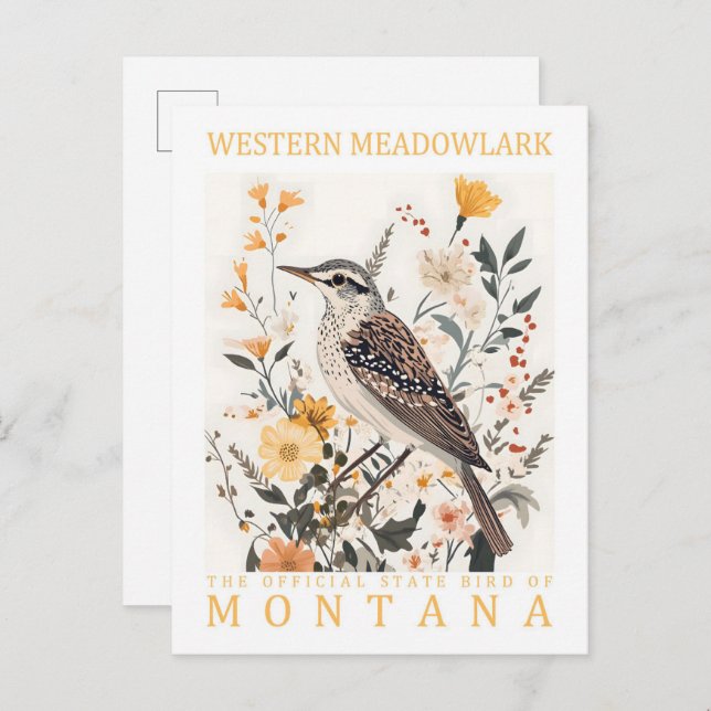 Cartão Postal Western Meadowlark Bird de Montana USA Viagem (Frente/Verso)
