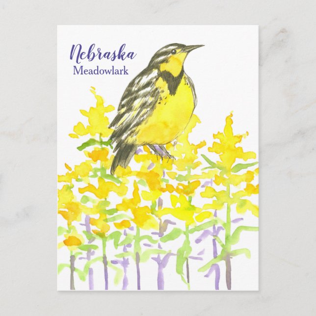 Cartão Postal Western Meadowlark Bird Goldenrod Nebraska (Frente)