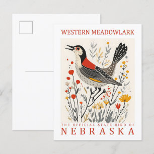 Cartão Postal Western Meadowlark Bird, Viagem do Nebraska EUA