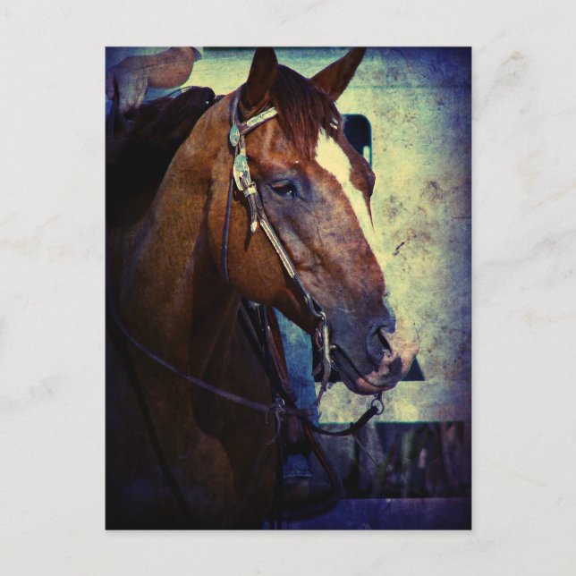 Cartão Postal Western Sorrel Grunge (Frente)