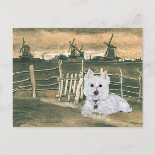 Cartão Postal Westie com Moinhos de Vento