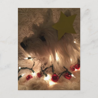 Cartão Postal Westie de luz elétrica