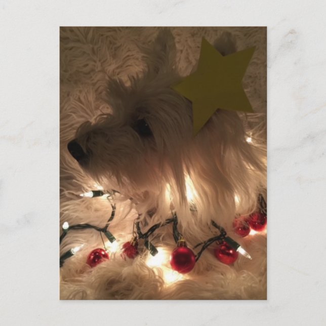 Cartão Postal Westie de luz elétrica (Frente)