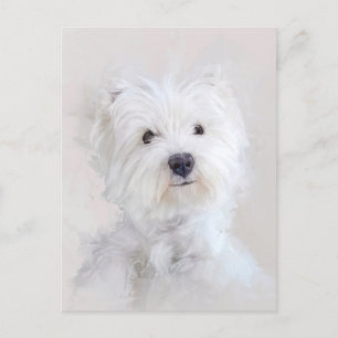 Cartão Postal Westie Dog Portrait
