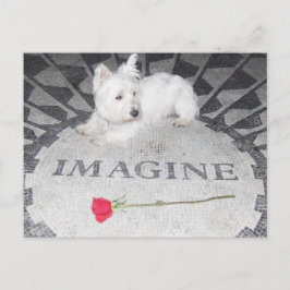 Cartão Postal Westie Imagine a paz mundial