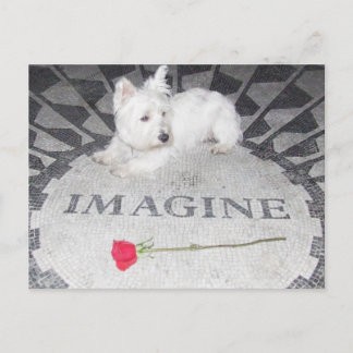 Cartão Postal Westie Imagine a paz mundial