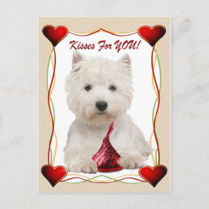 Cartão Postal Westie Kisses Para Você