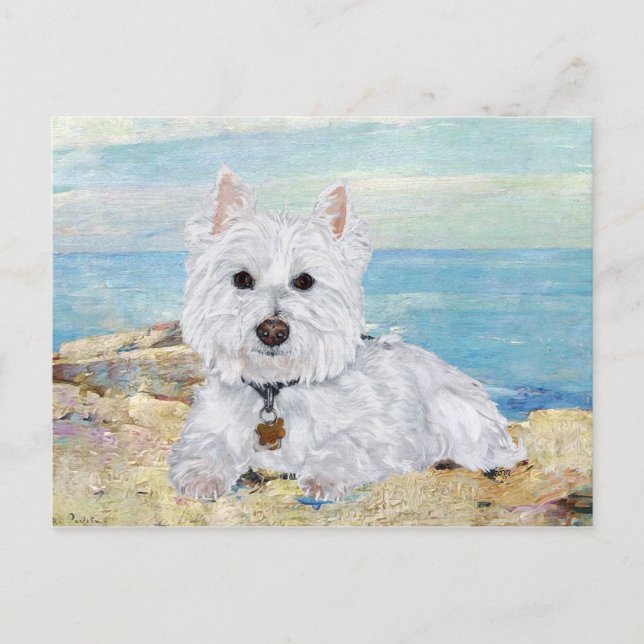 Cartão Postal Westie na Praia (Frente)