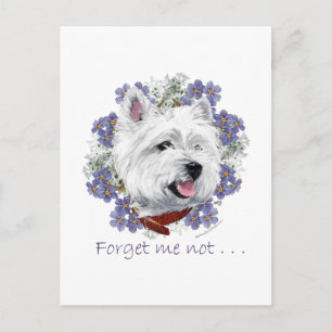 Cartão Postal Westie Não Me Esqueças