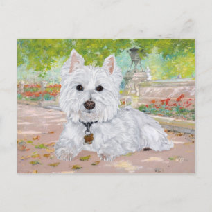 Cartão Postal Westie no Parque