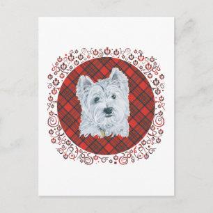 Cartão Postal Westie no Tartan