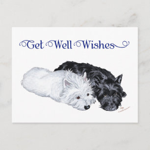 Cartão Postal Westie & Scottie à Vontade