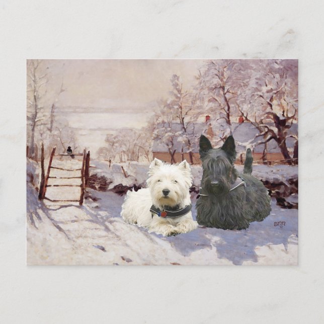 Cartão Postal Westie & Scottie Winter Magpie (Frente)