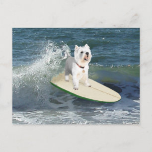 Cartão Postal Westie Surfer