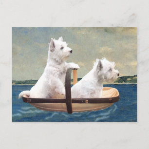 Cartão Postal Westies Set Sail