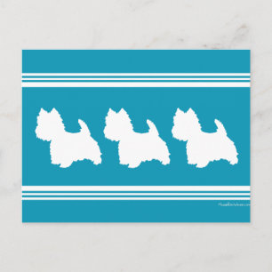 Cartão Postal Westies Turquesa