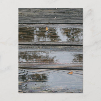 Cartão Postal Wet Wood com imagem de fundo de podles