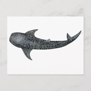 Cartão Postal Whale shark