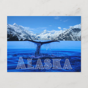 Cartão Postal Whale Tail Alaska - Cartão-postal