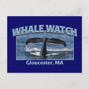 Cartão Postal Whale Watch