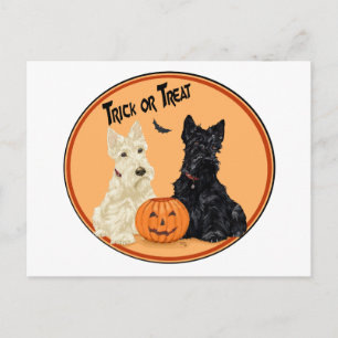 Cartão Postal Wheaten & Black Scottish Terriers Halloween