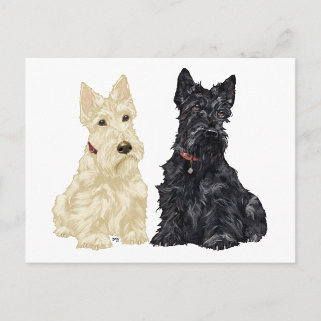 Cartão Postal Wheaten e Black Scottish Terriers (Frente)