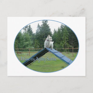 Cartão Postal Wheaten Scottie Agilidade