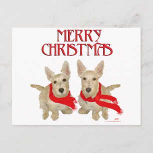 Cartão Postal Wheaten Scottish Terrier Natal