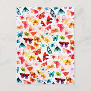 Cartão Postal Whimi Rainbow Forest Butterfly Aquarela 