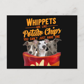 Cartão Postal Whippet E Batatas Fritas Cachorro Engraçado Mamãe
