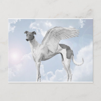Cartão Postal White Angel Greyhound