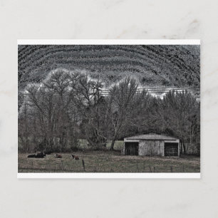 Cartão Postal White Barn
