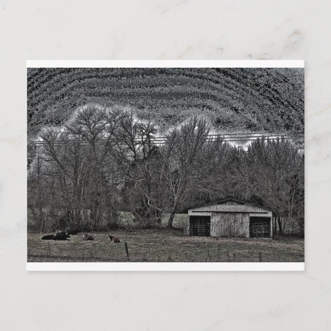 Cartão Postal White Barn (Frente)
