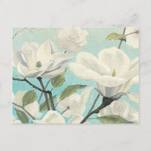 Cartão Postal White Blossoms from the South