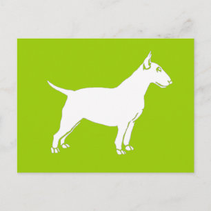 Cartão Postal White Bull Terrier