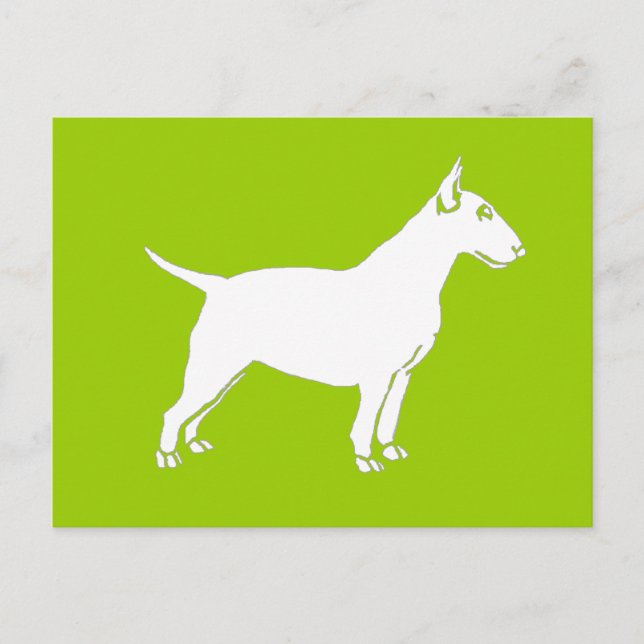 Cartão Postal White Bull Terrier (Frente)