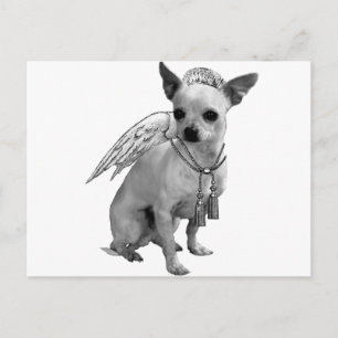 Cartão Postal White Chihuahua Angel Wings