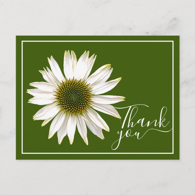 Cartão Postal White Coneflower Green Background Obrigado (Frente)