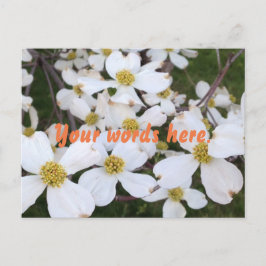 Cartão Postal White Dogwood Flor Suas Palavras Cartões-postais