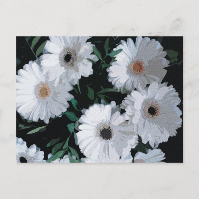 Cartão Postal White Gerbera Daisies (Frente)