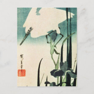 Cartão Postal White Heron e Iris