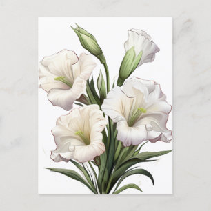 CARTÃO POSTAL WHITE LILY