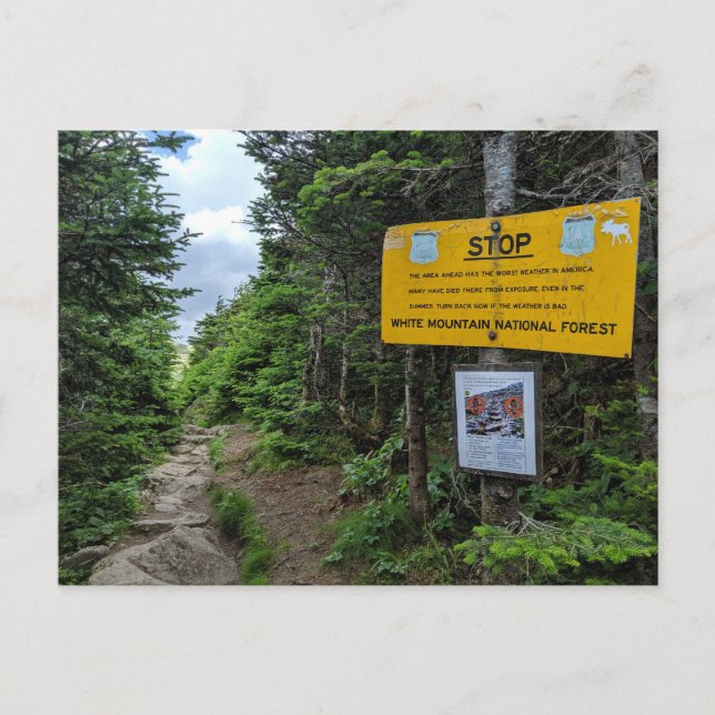 Cartão Postal White Mounts New Hampshire Postcard (Frente)