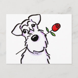 Cartão Postal White Schnauzer Sweetheart Rosa