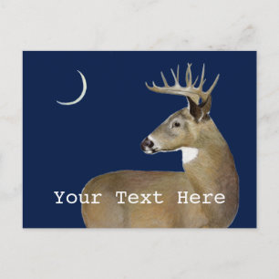 Cartão Postal White Tail Buck